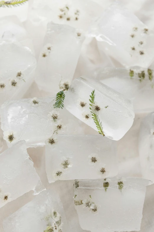 a pile of ice cubes sitting on top of a table, by Jessie Algie, unsplash, conceptual art, herbs and flowers, fern, savory, made of lab tissue