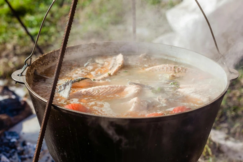 a pot filled with soup sitting on top of a fire, fish tail, al fresco, fish seafood markets, thumbnail