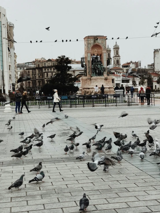 a bunch of birds that are on the ground, by Matija Jama, pexels contest winner, on a great neoclassical square, demna gvasalia, vsco, city panorama