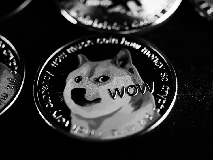 a close up of a coin with a dog on it, a black and white photo, doge meme, monochrome 3 d model, sfw version, holo