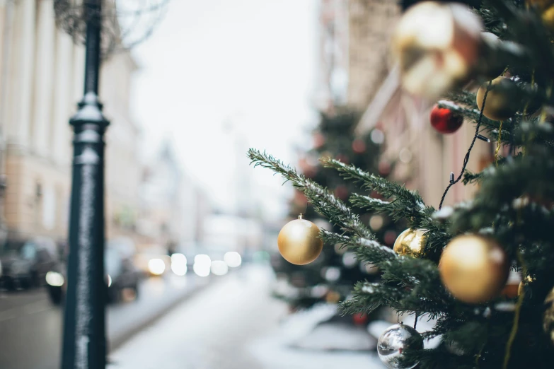 a christmas tree in the middle of a city street, pexels contest winner, ornaments, close up portrait shot, background image, thumbnail