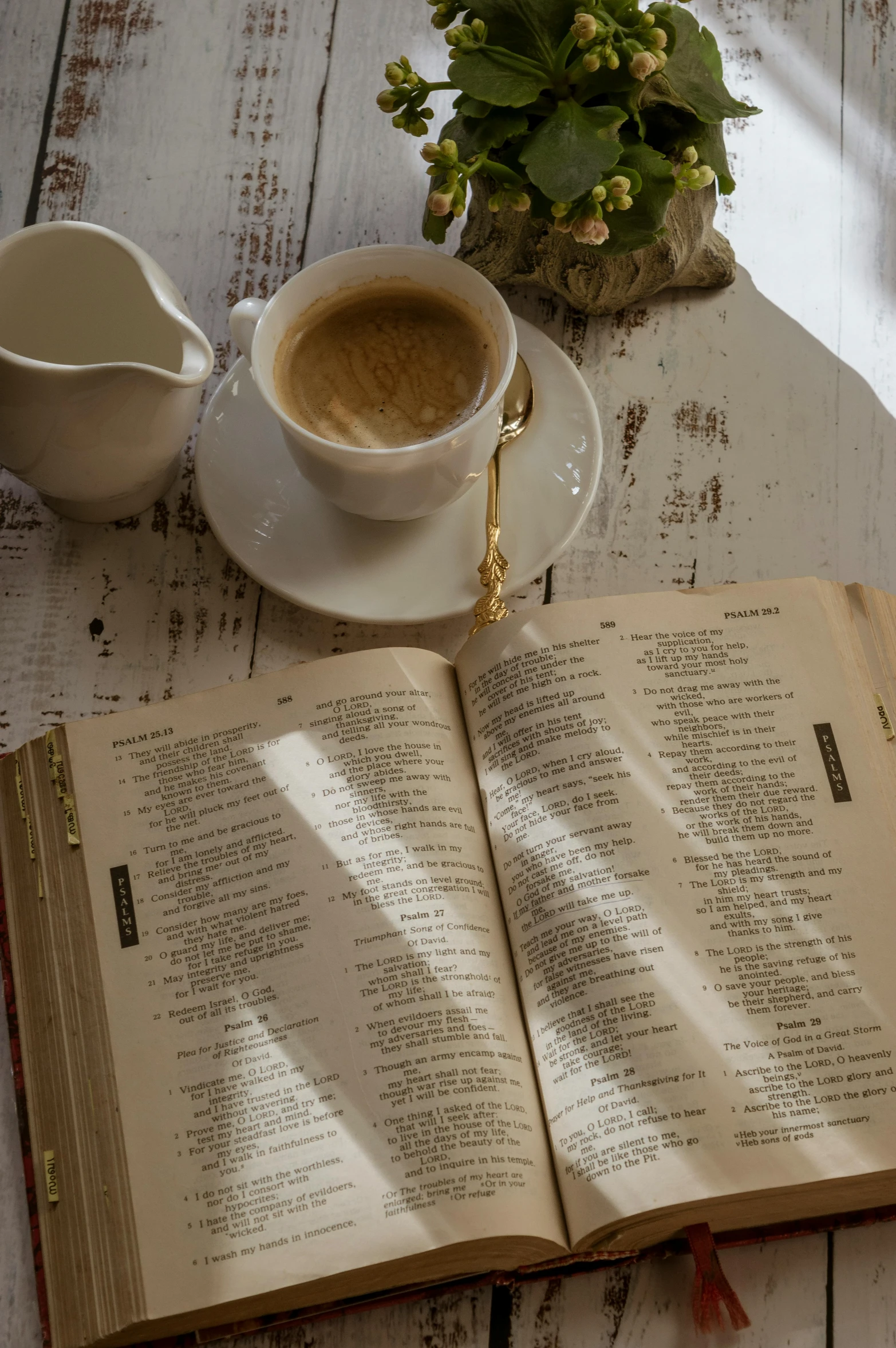 an open book sitting on top of a table next to a cup of coffee, religious, with full descriptions, sunlit, breakfast