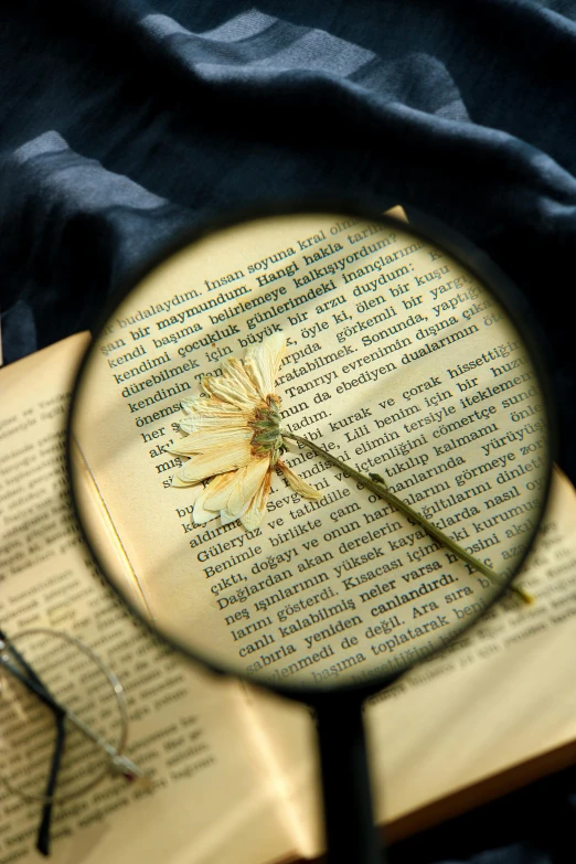 a close up of a book with a magnifying glass, a macro photograph, pexels contest winner, dried flower, navy, student, sunny light