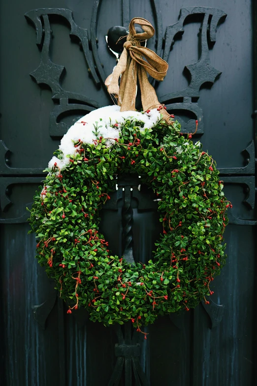 a close up of a wreath on a door, a digital rendering, pexels, professionally color graded, walking down, hooded, ivy