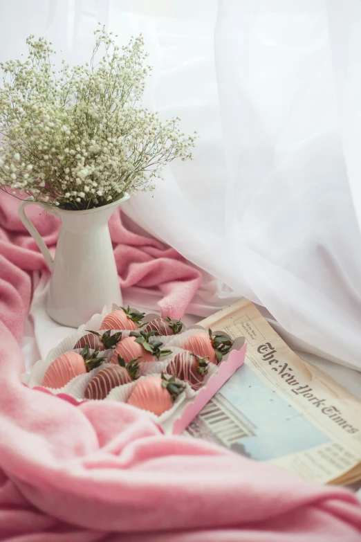 a white vase filled with baby's breath on top of a pink blanket, a still life, inspired by Valentine Hugo, pexels contest winner, strawberries, chocolate, cozy bed, sweets