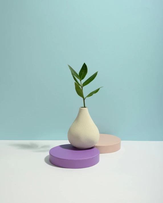 a white vase with a green plant in it, inspired by jeonseok lee, random circular platforms, soft lilac skies, product display photograph, solid colours material