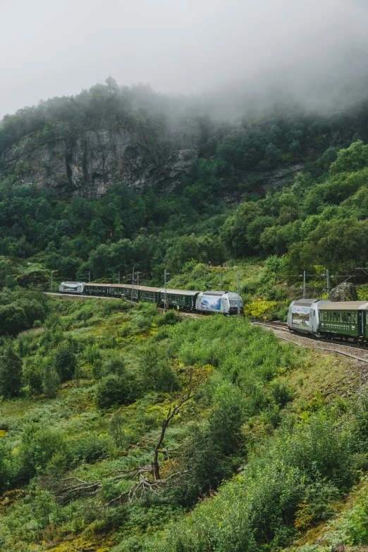 a train traveling through a lush green hillside, by Roar Kjernstad, renaissance, exterior, grey