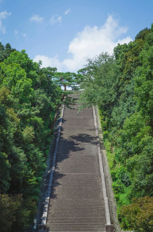 a set of stairs leading up to the top of a hill, shin hanga, hill with trees, overhead birdseye view, really long, large staircase