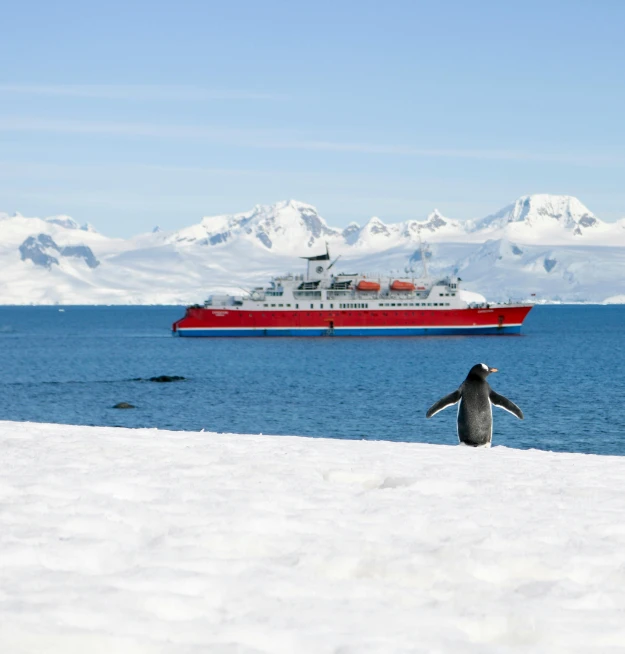 a penguin standing in the snow next to a boat, looking out at a red ocean, water surrounds the ship, sunny environment, on his hind legs