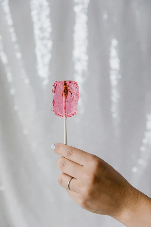 a person holding a pink lollipop on a stick, jelly - like texture, photo booth, made of lab tissue, highly upvoted