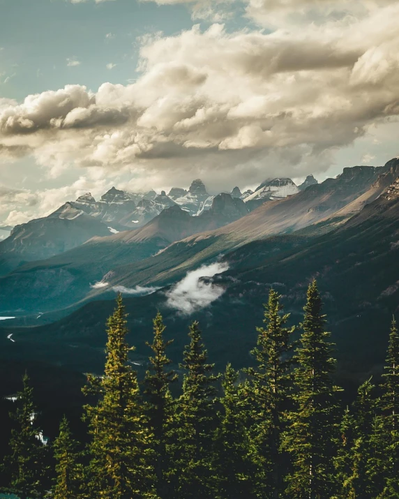 a view of the mountains from the top of a mountain, a matte painting, by Morgan Russell, unsplash contest winner, banff national park, conde nast traveler photo, 5 0 0 px, over the tree tops