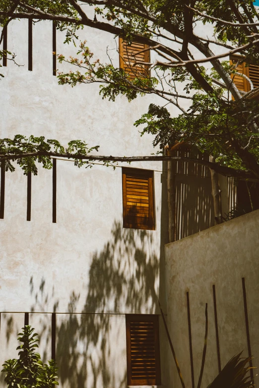 a building with a tree in front of it, pexels contest winner, light and space, light - brown wall, summer afternoon, shutters, exterior photo