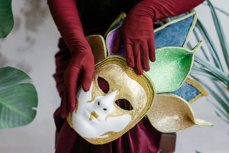 a close up of a person wearing a mask, inspired by Pietro Longhi, visual art, multicoloured, flatlay, high quality costume, carnival