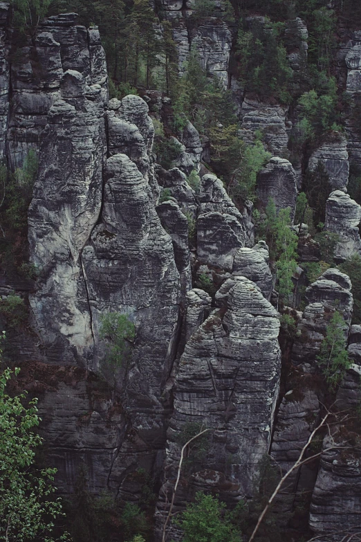 a herd of sheep standing on top of a lush green hillside, an album cover, by Adam Marczyński, pexels contest winner, baroque, chiseled formations, rock climbers climbing a rock, german forest, grey