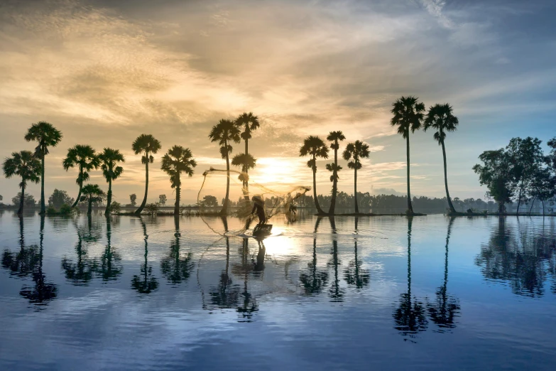 a group of palm trees sitting on top of a body of water, by Dan Content, pexels contest winner, cambodia, infinity pool mirrors, early morning light, conde nast traveler photo