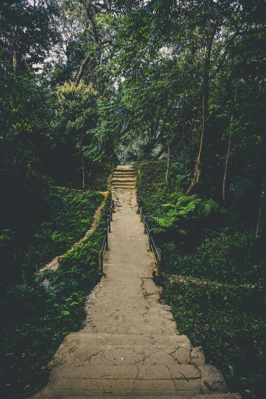 a walkway in the middle of a lush green forest, an album cover, pexels contest winner, stone steps, são paulo, historical setting, gritty feeling