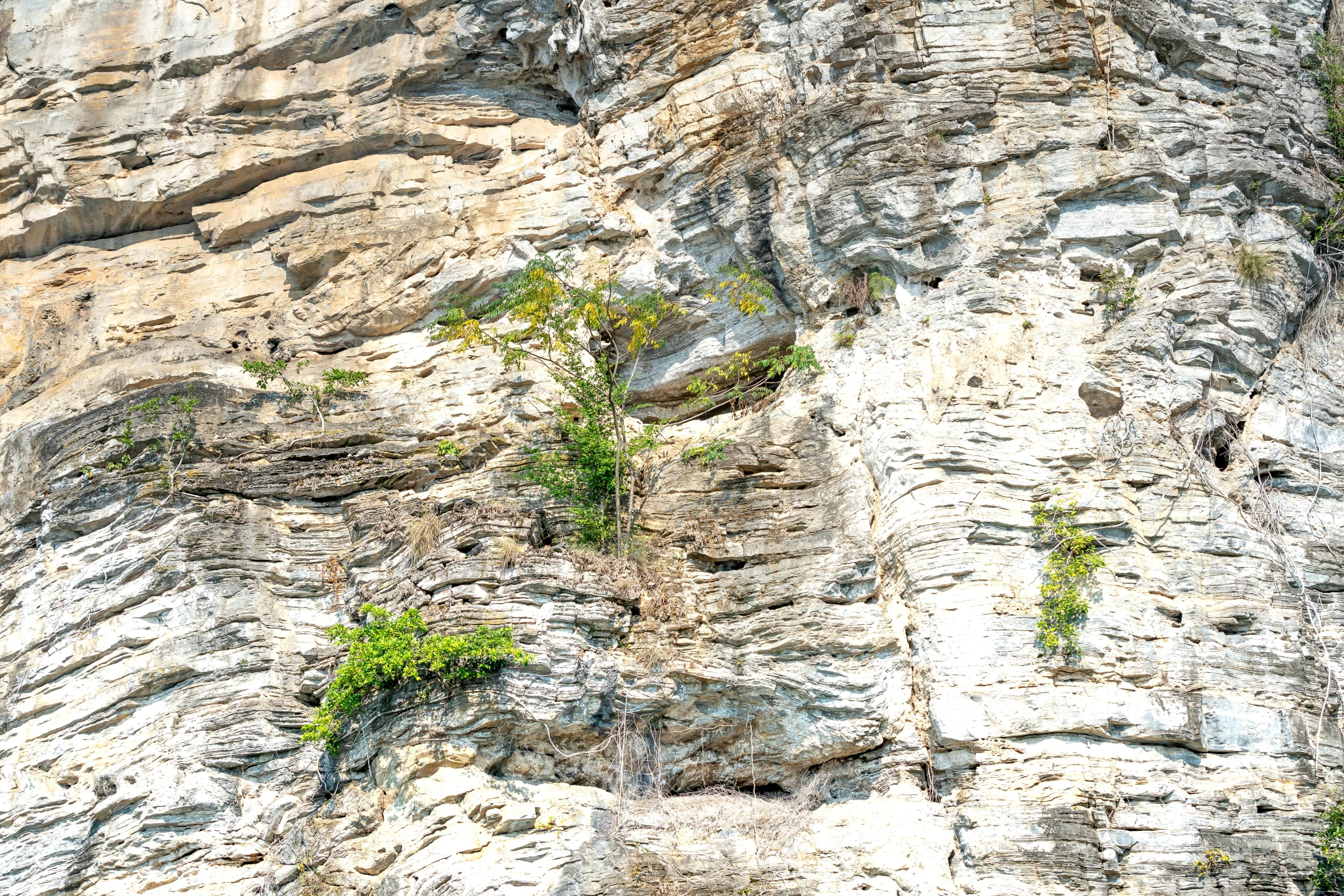 a group of people standing on top of a cliff, hyperdetailed photo, rock wall, 4k photo”, high detail photo