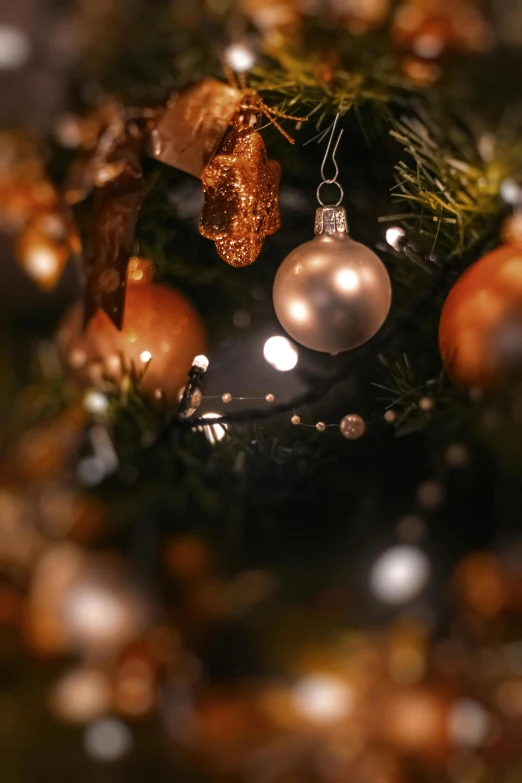 a close up of a christmas tree with ornaments, a digital rendering, pexels, baroque, soft evening lighting, brown and gold, multiple stories, thumbnail