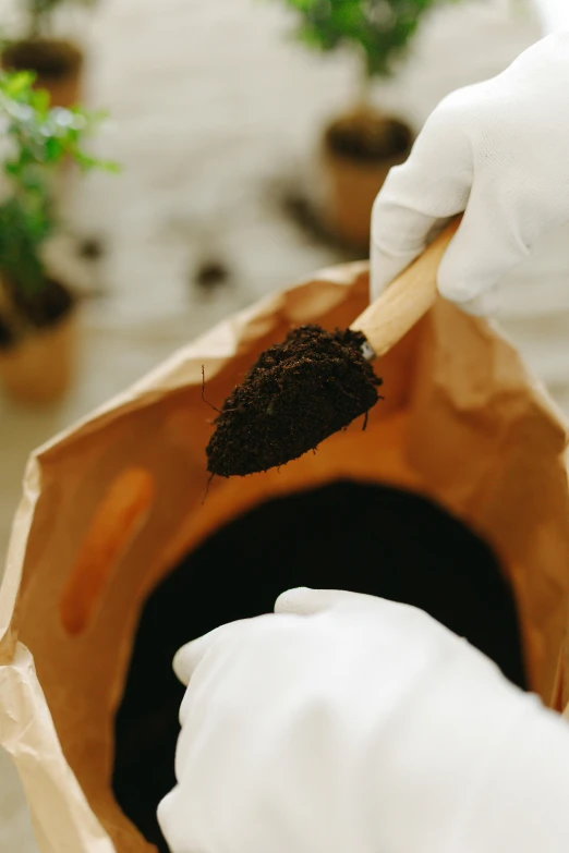 a person in white gloves scooping dirt into a pot, an album cover, pexels contest winner, urine collection bag, organic growth, dark brown, garden