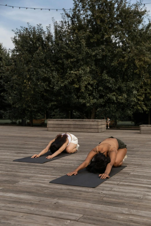 two women doing yoga on a wooden deck, a picture, by Daniel Gelon, face down, ouchh and and innate studio, serpentine pose, daytime