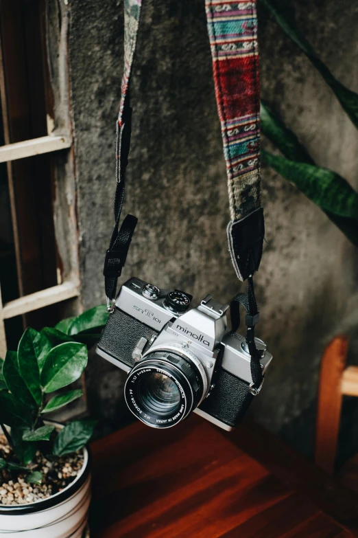 a camera sitting on top of a wooden table next to a potted plant, a picture, webbing, straps, ecommerce photograph, profile