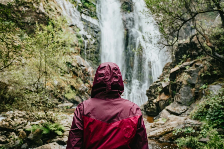 a person standing in front of a waterfall, purple raincoat, wearing a red hoodie, looking from behind, lush surroundings