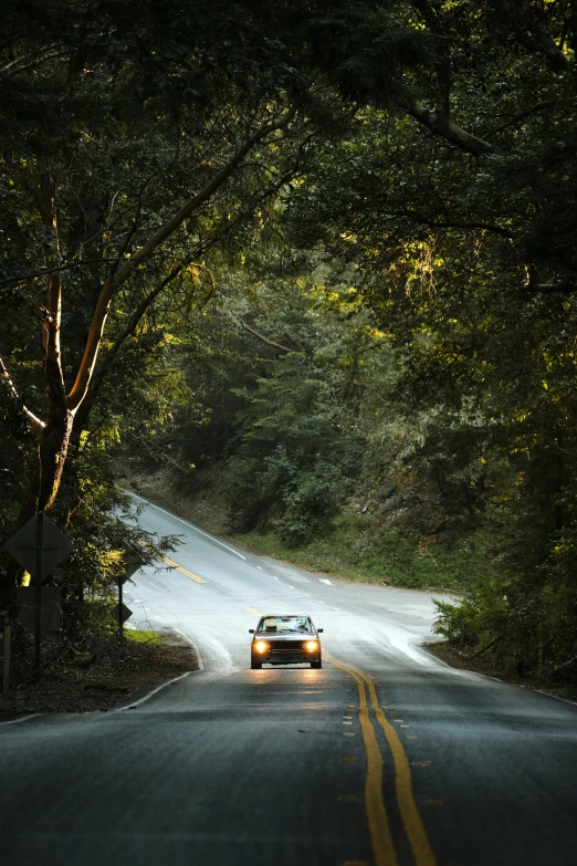 a car driving down a curvy road surrounded by trees, headlights, bay area, nat geo, fan favorite