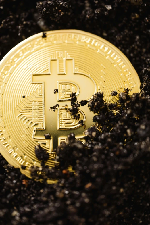 a bitcoin sitting in the dirt, by Robert Richenburg, promo image, background image, mint, thumbnail