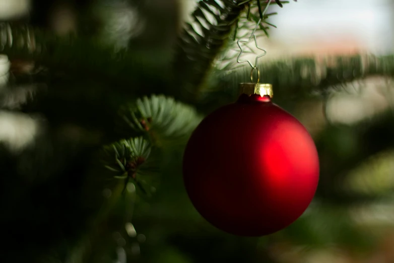 a red ornament hanging from a christmas tree, pexels, arts and crafts movement, paul barson, album photo, a green, shot on sony a 7 iii