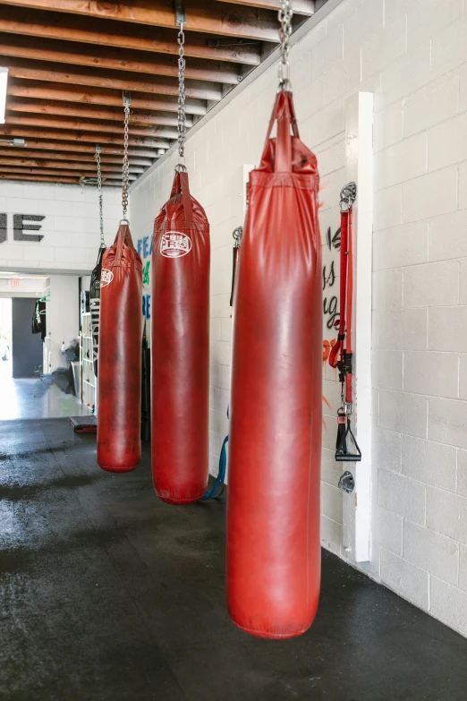 a gym with punching bags hanging from the ceiling, dribble, private press, shoreline, profile image, vine, los angeles ca