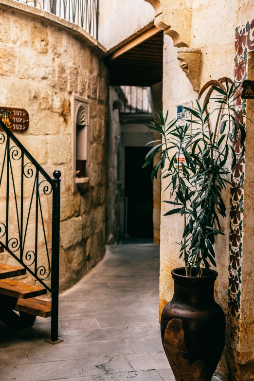 a potted plant sitting on top of a wooden bench, by Riad Beyrouti, pexels contest winner, art nouveau, stone tile hallway, old town mardin, an escape room in a small, interior of a small