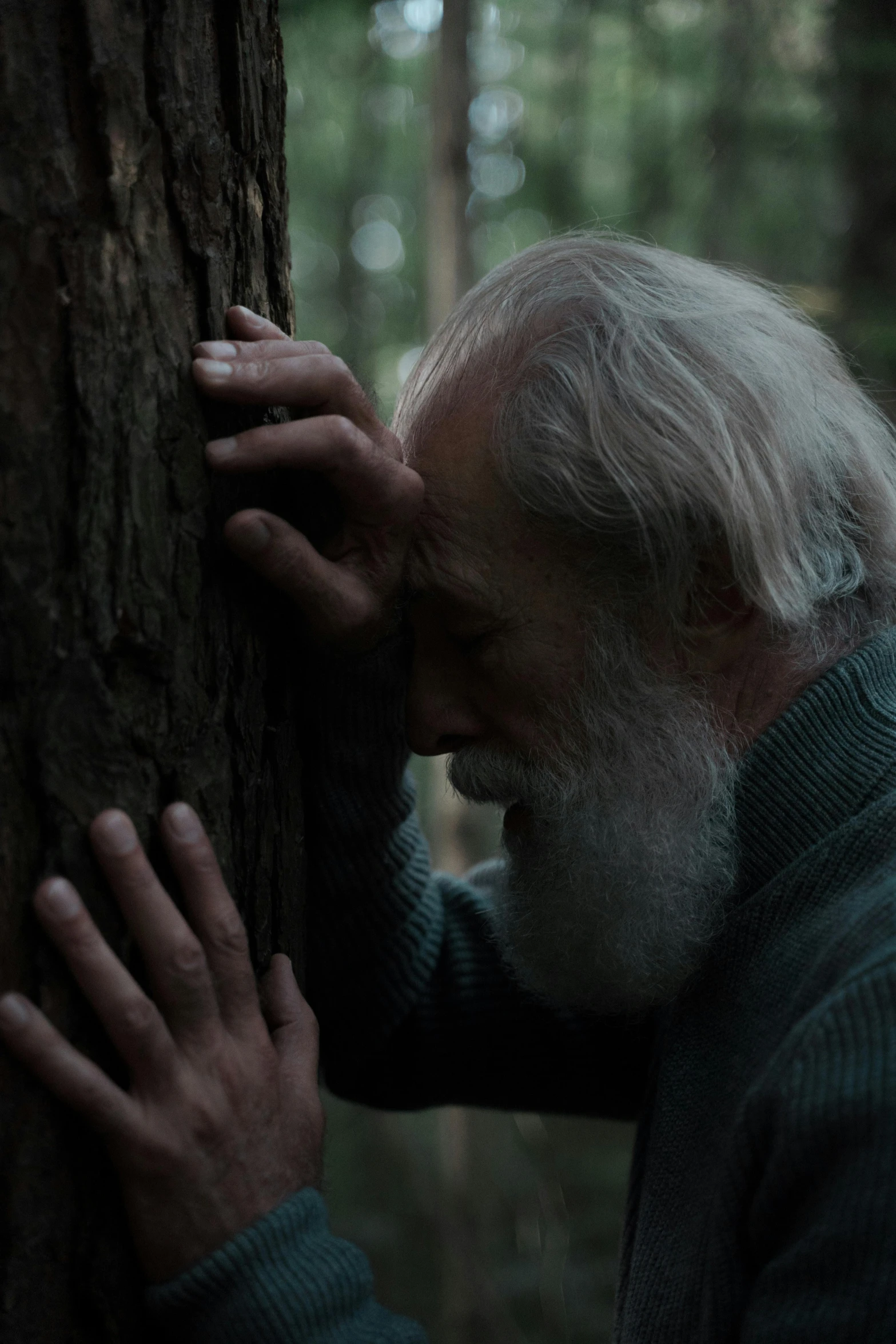 a man leaning against a tree in a forest, an album cover, inspired by Murray Tinkelman, unsplash, naturalism, long grey beard, screenshot from a movie, comforting, [ theatrical ]