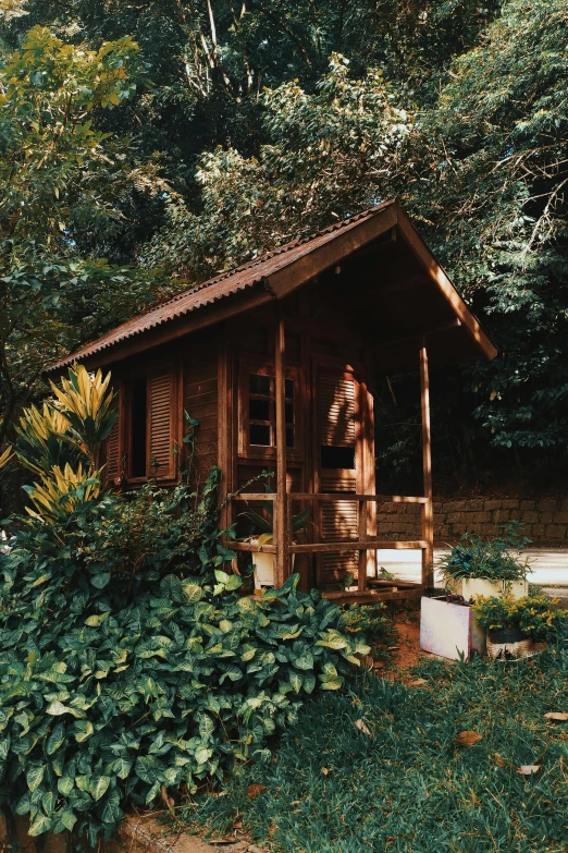 a small cabin sitting in the middle of a lush green forest, an album cover, unsplash, renaissance, sri lanka, front view 1 9 9 0, scanned in, in a garden of a house