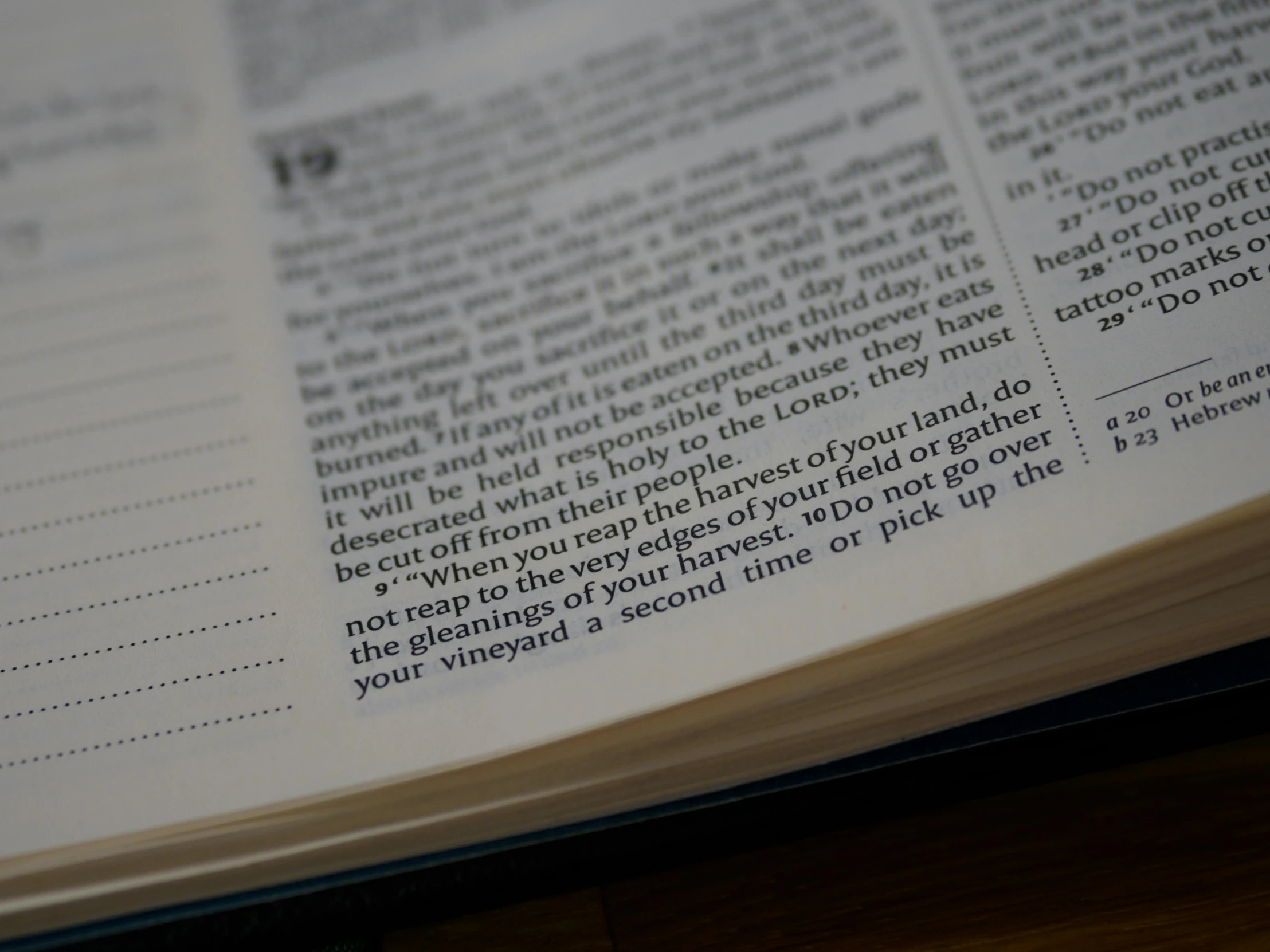 an open book sitting on top of a wooden table, exodus 1 4 : 2 1 & 2 2, up close image, intricate lining, english text