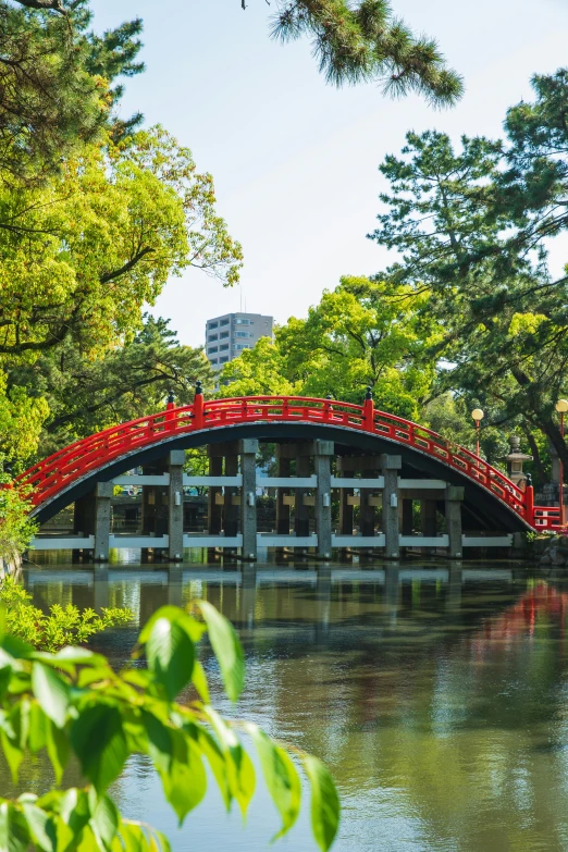 a red bridge over a body of water, with matsu pine trees, capybaras in tokyo, lush surroundings, university