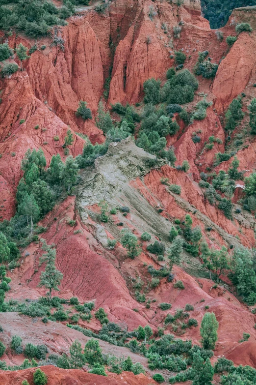 a herd of cattle grazing on top of a lush green hillside, by Raphaël Collin, unsplash contest winner, color field, bright red desert sands, shiny layered geological strata, pink and red color scheme, high angle vertical