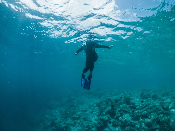 a person swimming in a body of water, coral sea bottom, fins, sarenrae, abandoned scuba visor