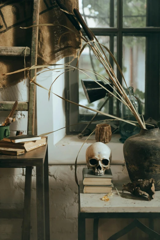 a vase sitting on top of a table next to a pile of books, vanitas, skulls and bones, rustic setting, warm space, plants