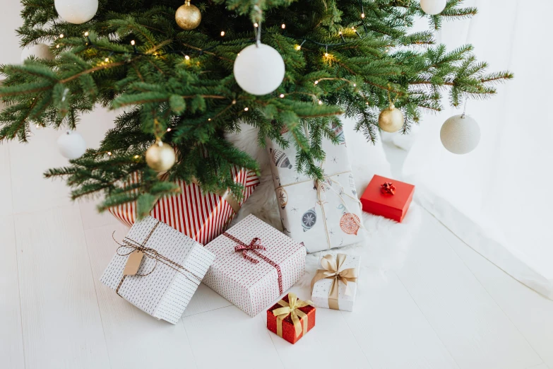 a christmas tree with presents underneath it, by Alice Mason, pexels, figuration libre, high angle close up shot, various posed, profile image, fan favorite