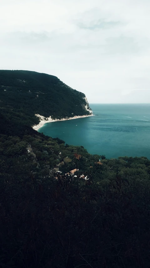 a large body of water sitting on top of a lush green hillside, by Elsa Bleda, unsplash contest winner, renaissance, white beaches, bay, bispo do rosario, brazilian