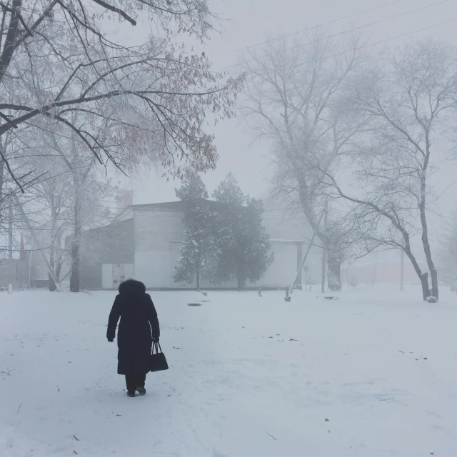 a woman walking through a snow covered park, a photo, by Lucia Peka, ai weiwei and gregory crewdson, fargo, foggy!, instagram post