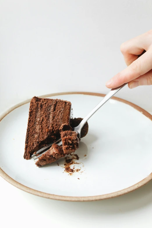 a piece of chocolate cake on a plate with a fork, by Robbie Trevino, gif, premium quality, julia sarda, medium height