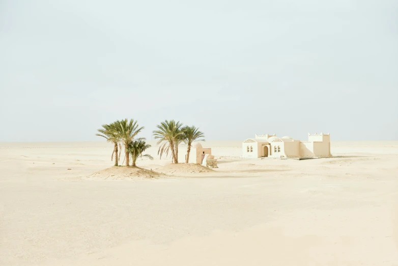 a person riding a horse in the middle of a desert, egyptian art, unsplash contest winner, minimalism, white houses, date trees, beach landscape, architectural digest photo