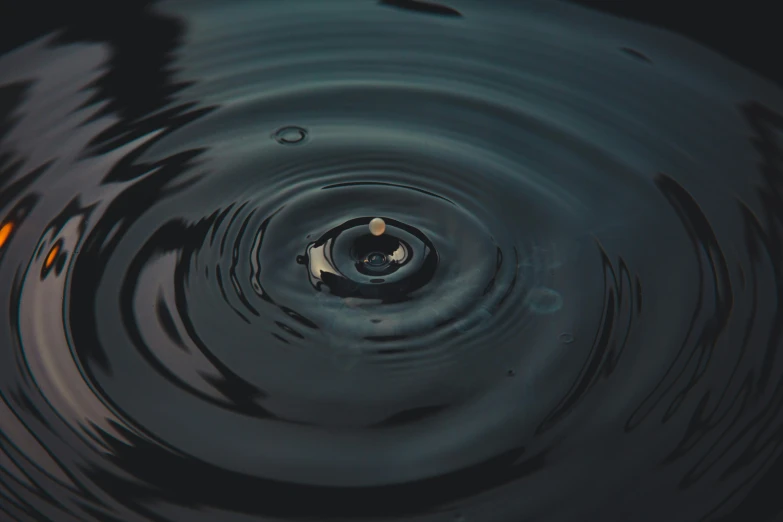 a close up of a fish in a body of water, rain is falling