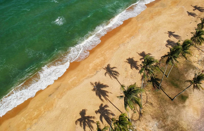 an aerial view of a beach with palm trees, pexels contest winner, puerto rico, sand color, sri lanka, thumbnail