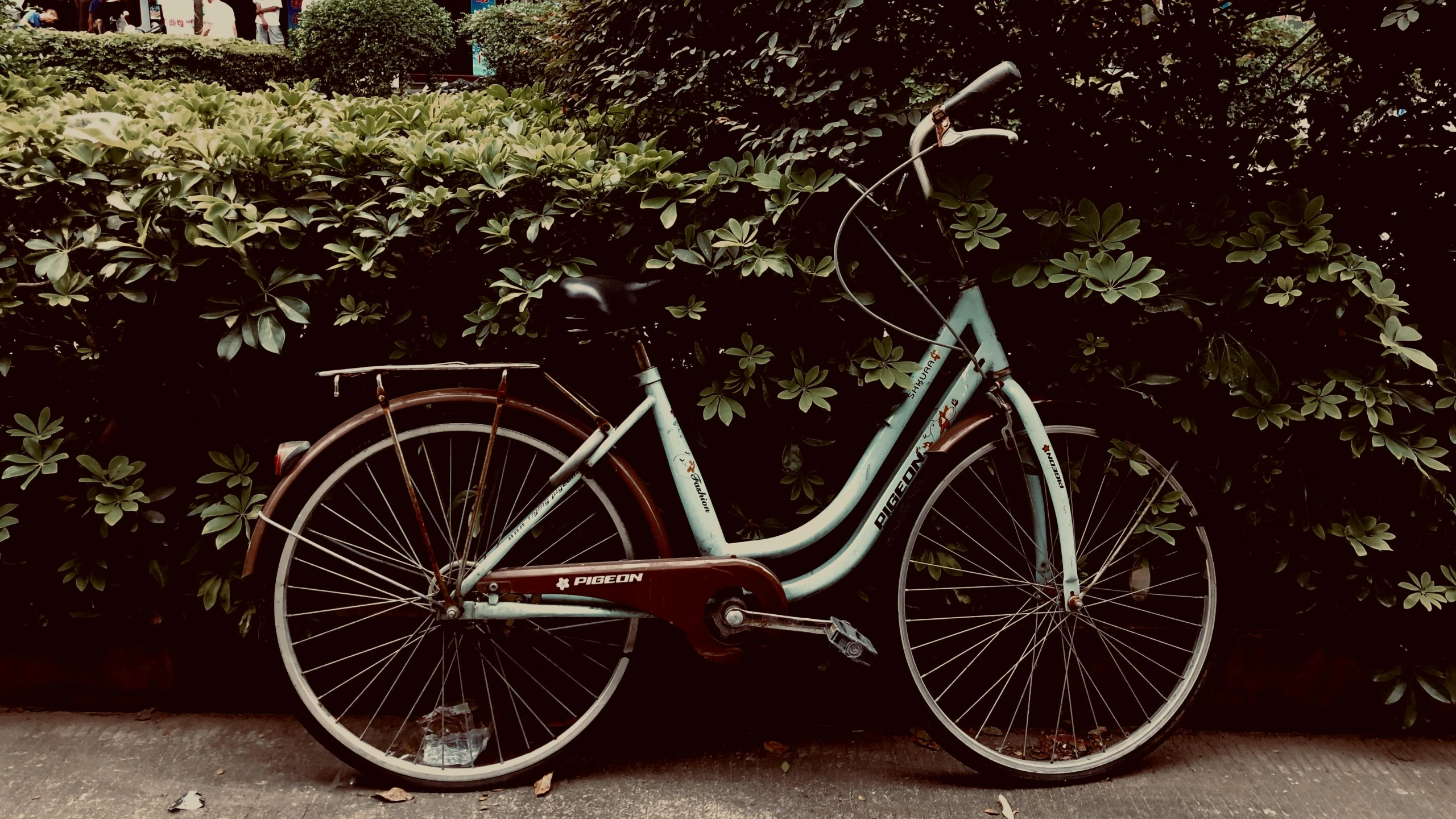 a bicycle is parked in front of a bush, pexels contest winner, realism, brown and cyan color scheme, profile image, ((greenish blue tones)), on a sidewalk of vancouver