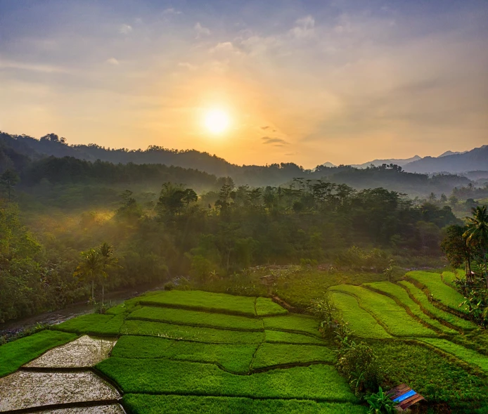 the sun is setting over a rice field, by Dan Content, pexels contest winner, sumatraism, overlooking a valley with trees, slide show, springtime morning, instagram post