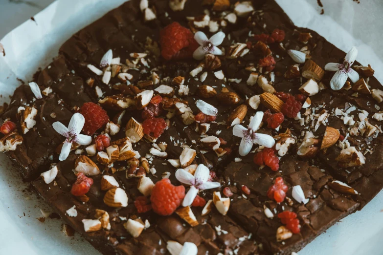 a piece of chocolate covered in nuts and strawberries, unsplash, therookies, lush flora, background image, 🎀 🗡 🍓 🧚