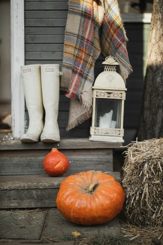 a bunch of pumpkins and a lantern on a porch, a portrait, trending on unsplash, riding boots, tweed colour scheme, silver，ivory, square