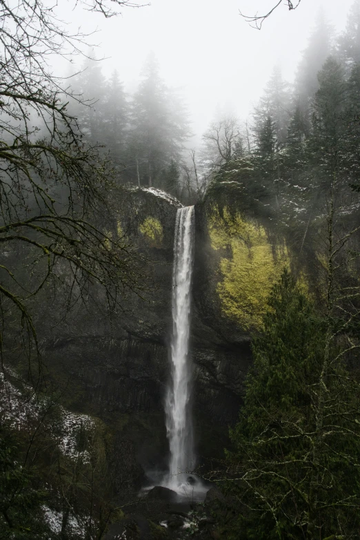 a waterfall in the middle of a forest, a picture, by Jim Nelson, unsplash contest winner, under a gray foggy sky, towering high up over your view, sandfalls, extreme panoramic